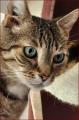 Whatsapp image 2024 02 11 at 17 31 36