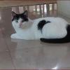 Whatsapp image 2025 05 02 at 20 41 36